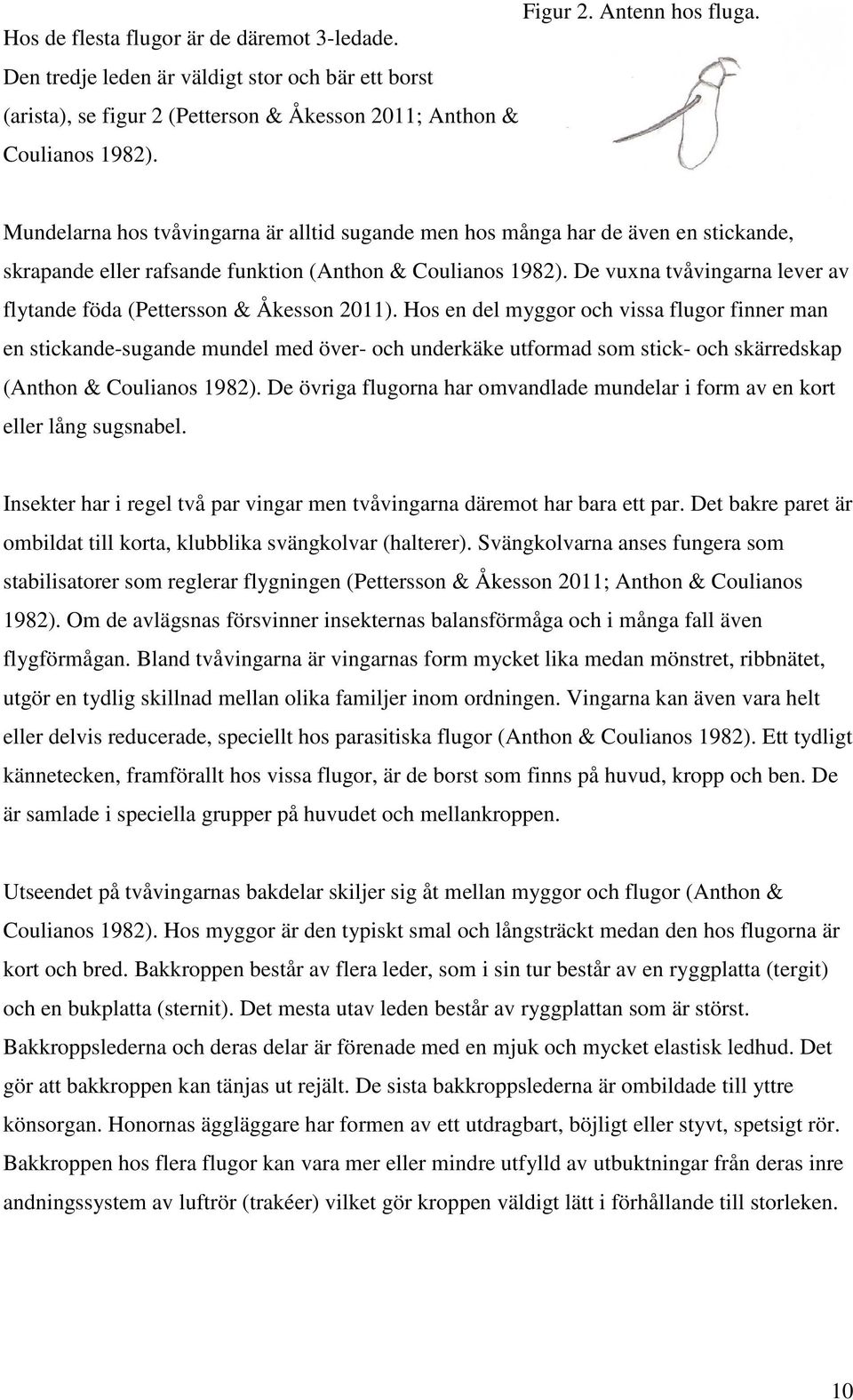 De vuxna tvåvingarna lever av flytande föda (Pettersson & Åkesson 2011).