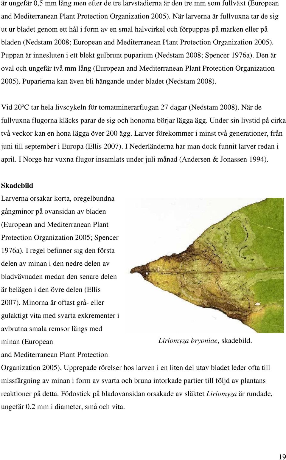 Organization 2005). Puppan är innesluten i ett blekt gulbrunt puparium (Nedstam 2008; Spencer 1976a).