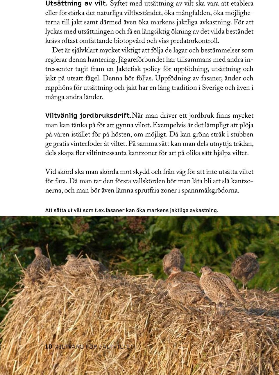 För att lyckas med utsättningen och få en långsiktig ökning av det vilda beståndet krävs oftast omfattande biotopvård och viss predatorkontroll.