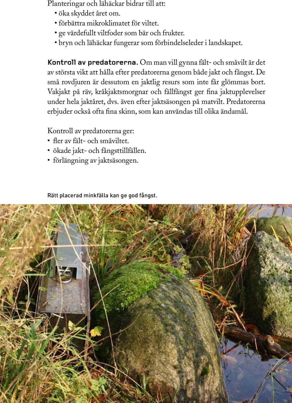 Om man vill gynna fält- och småvilt är det av största vikt att hålla efter predatorerna genom både jakt och fångst. De små rovdjuren är dessutom en jaktlig resurs som inte får glömmas bort.