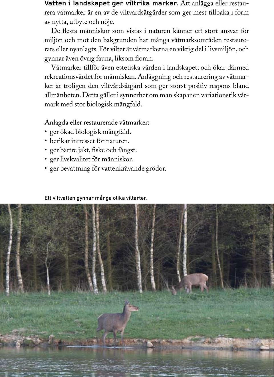 För viltet är våtmarkerna en viktig del i livsmiljön, och gynnar även övrig fauna, liksom floran. Våtmarker tillför även estetiska värden i landskapet, och ökar därmed rekreationsvärdet för människan.