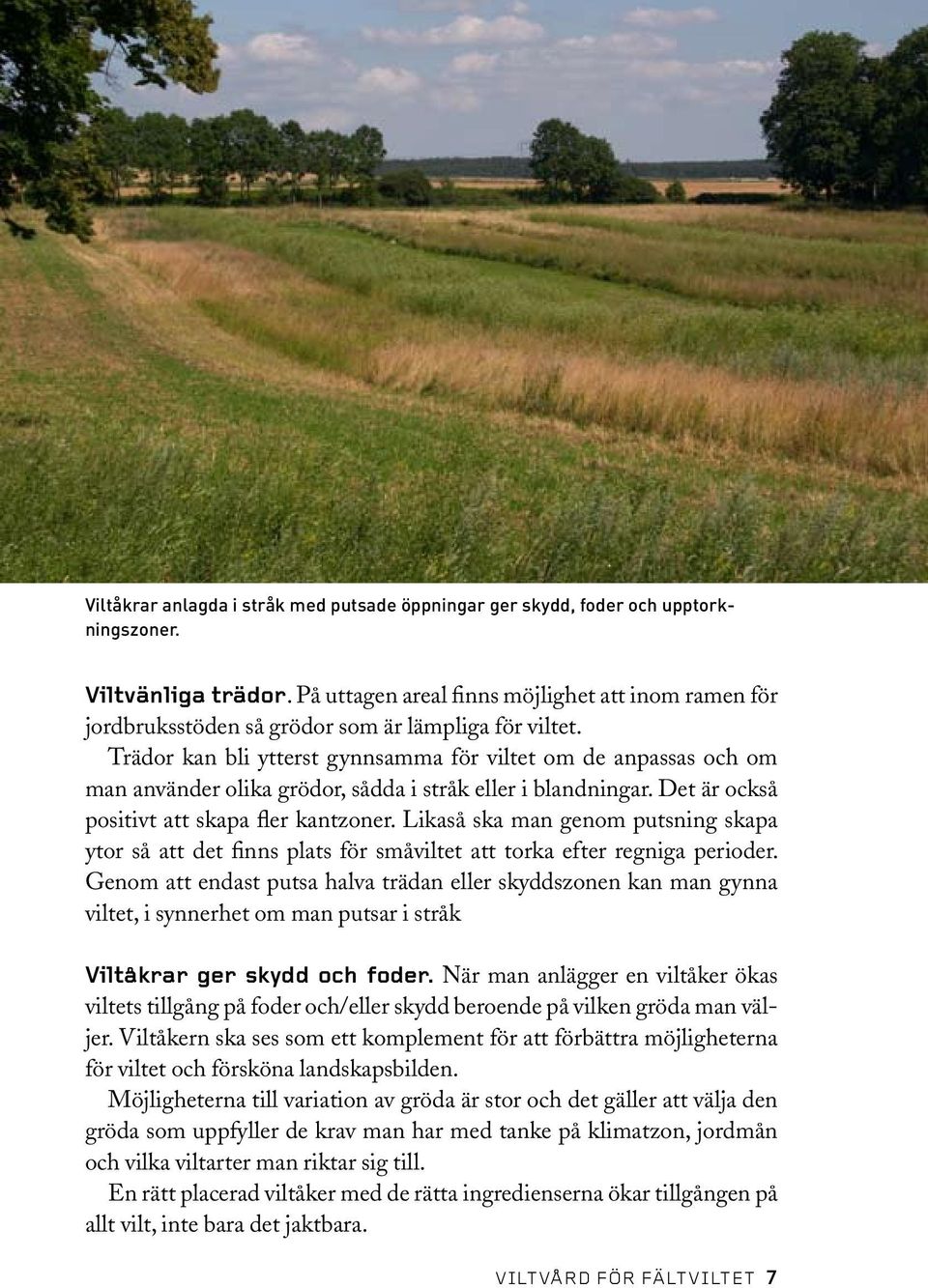 Trädor kan bli ytterst gynnsamma för viltet om de anpassas och om man använder olika grödor, sådda i stråk eller i blandningar. Det är också positivt att skapa fler kantzoner.