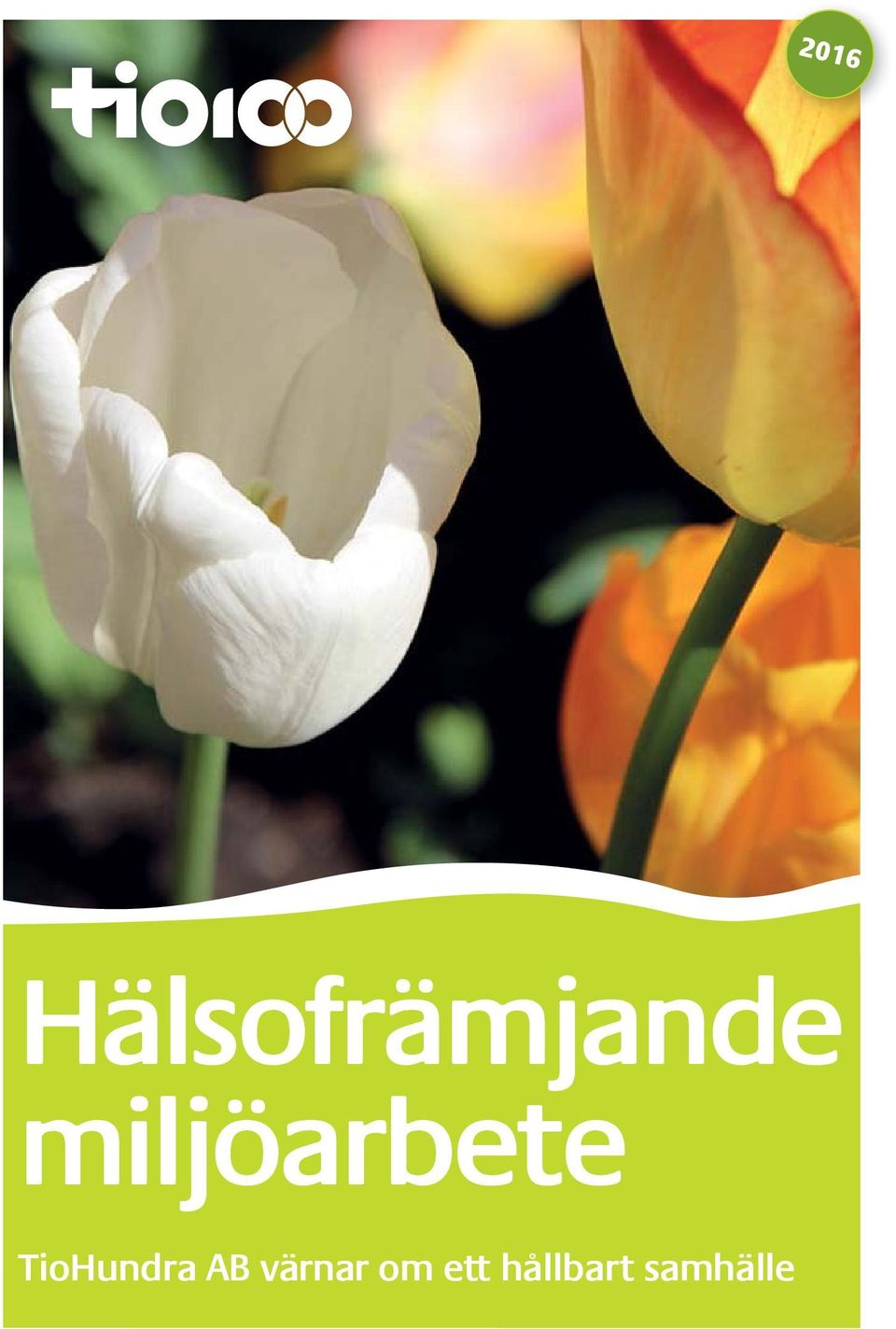 miljöarbete