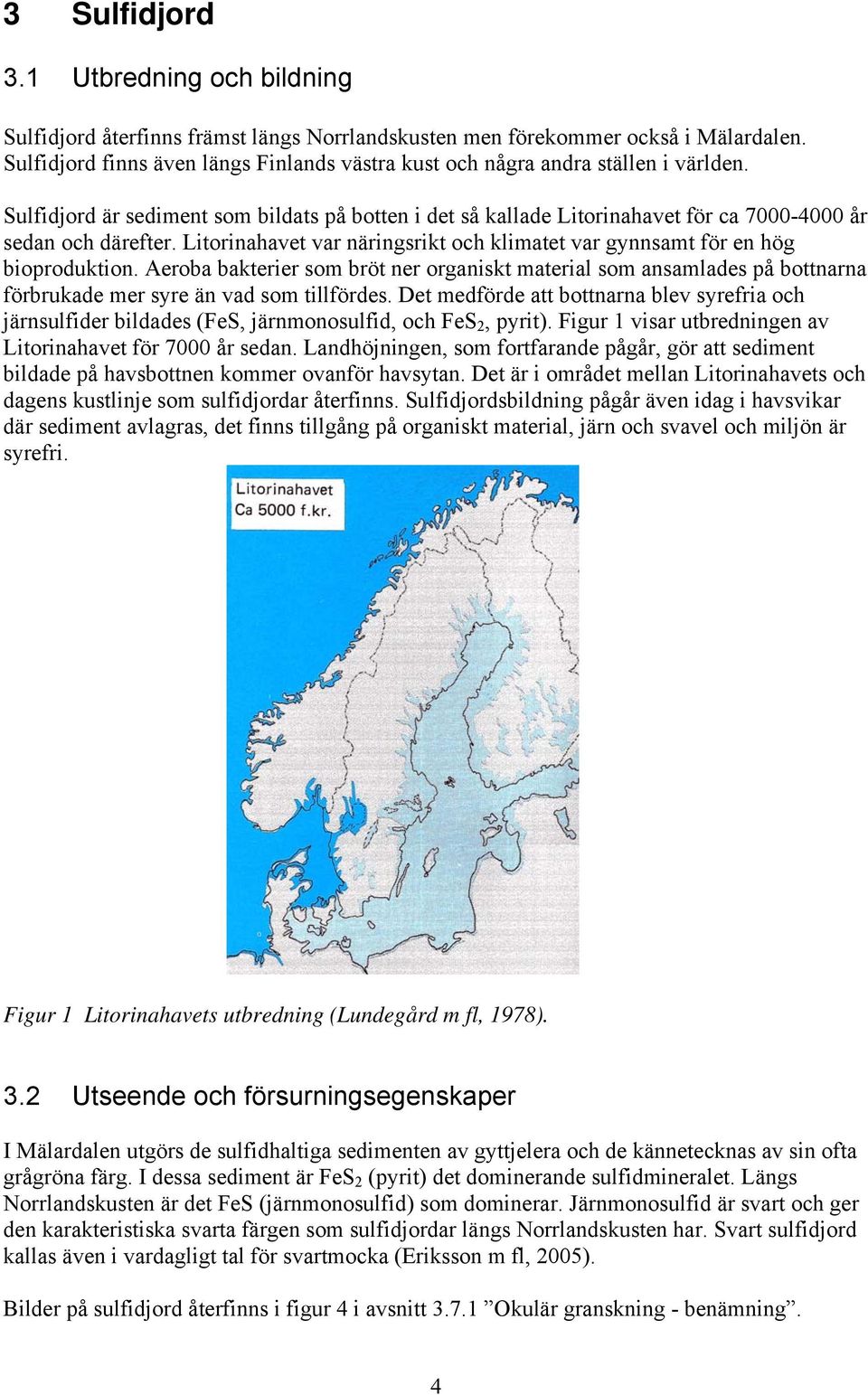 Litorinahavet var näringsrikt och klimatet var gynnsamt för en hög bioproduktion.