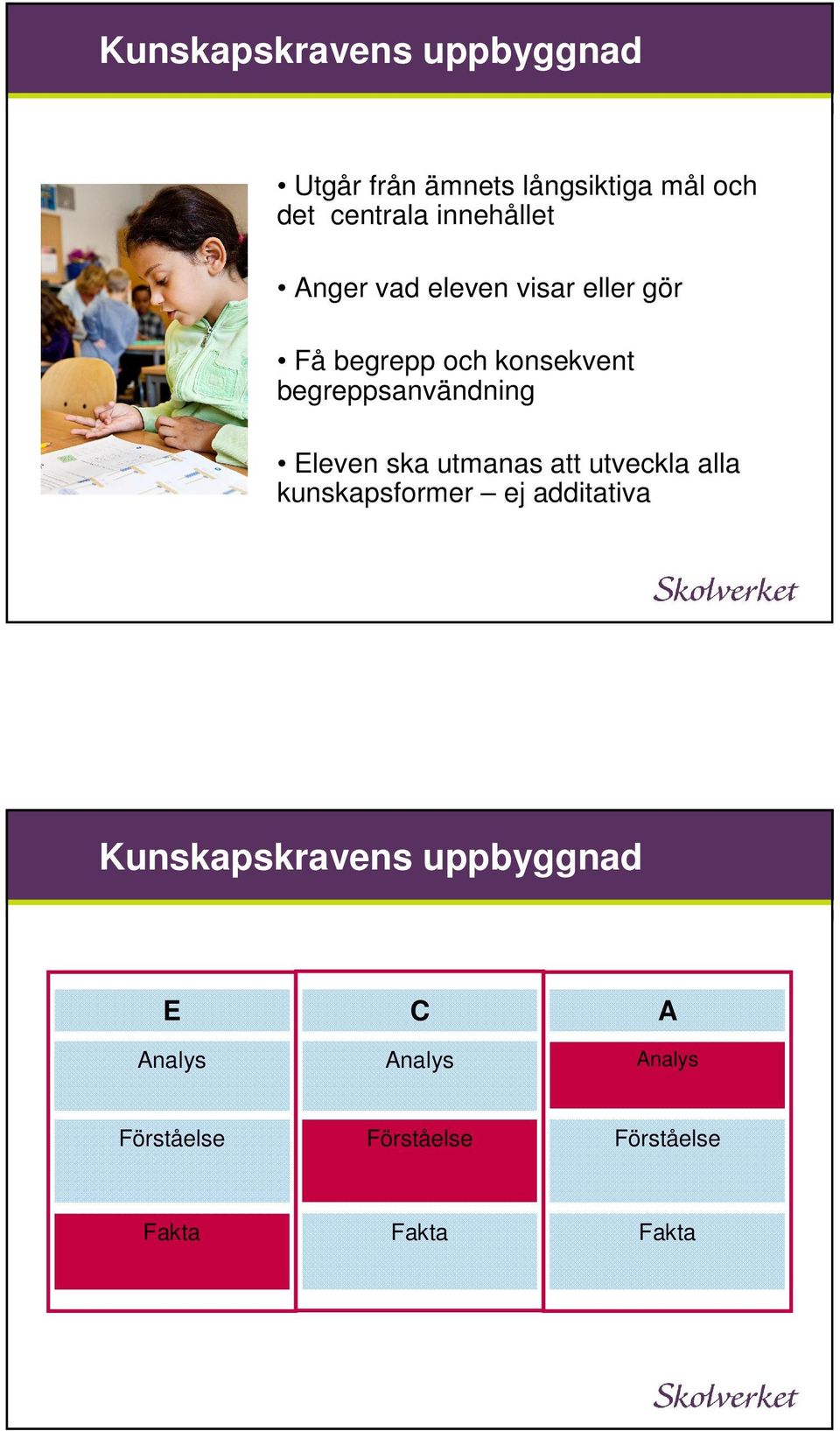 begreppsanvändning Eleven ska utmanas att utveckla alla kunskapsformer ej additativa