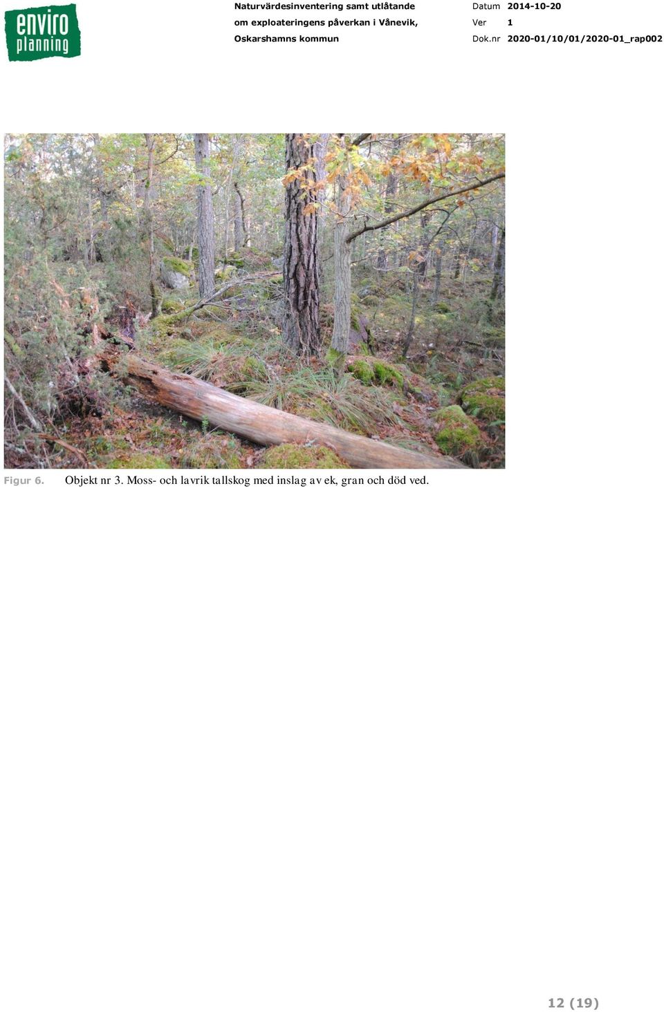 tallskog med inslag av