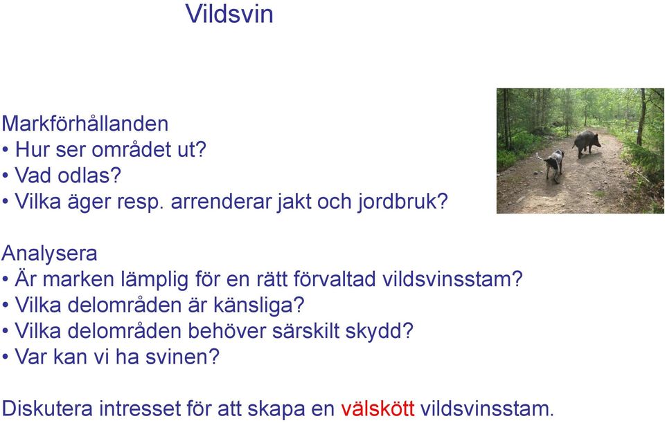 Analysera Är marken lämplig för en rätt förvaltad vildsvinsstam?