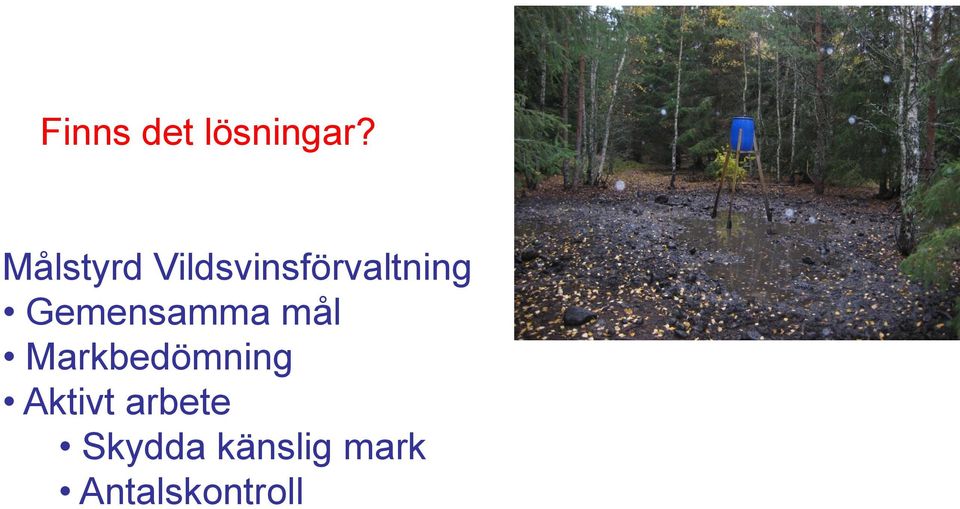 Gemensamma mål Markbedömning