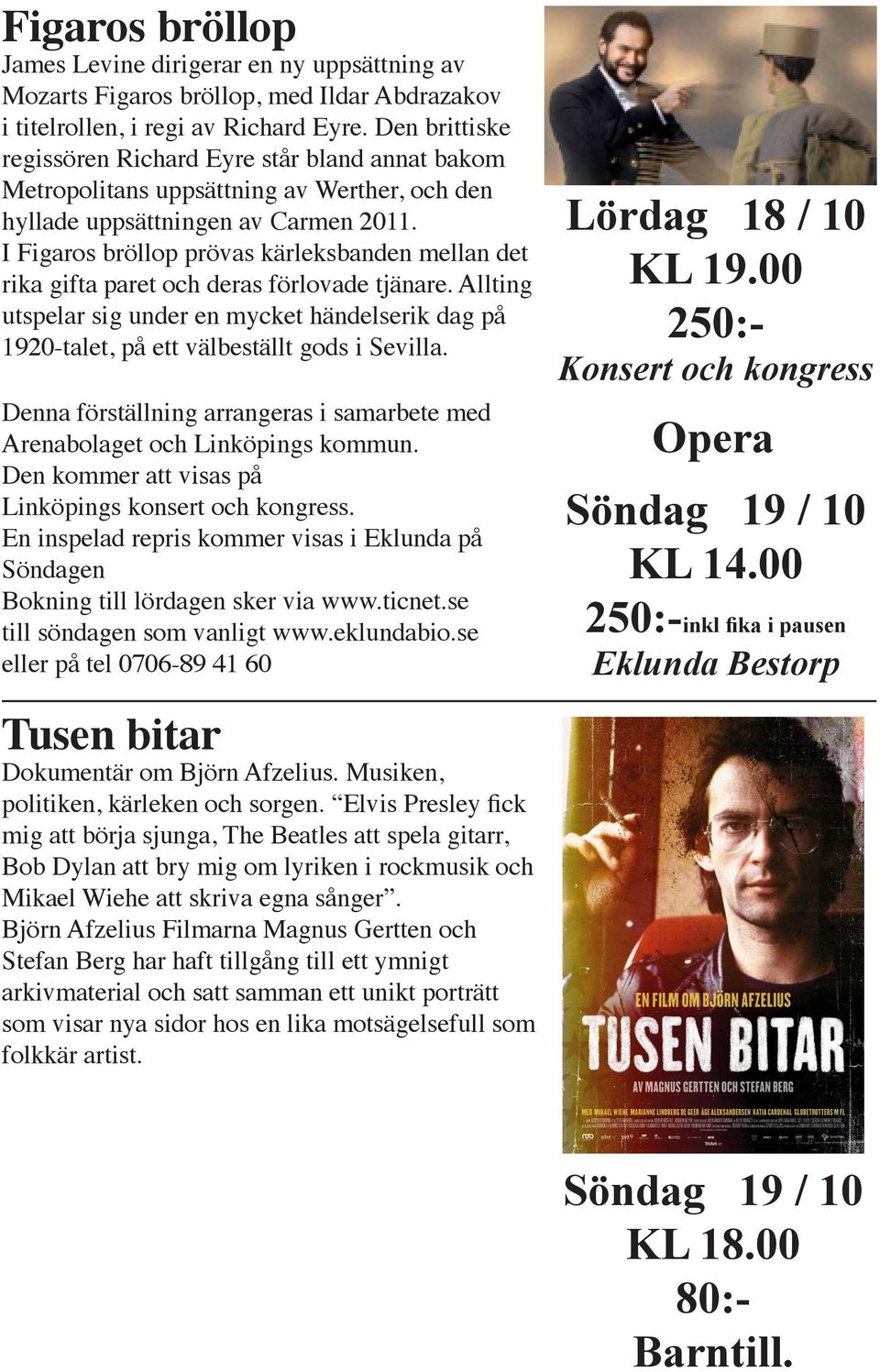 I Figaros bröllop prövas kärleksbanden mellan det rika gifta paret och deras förlovade tjänare. Allting utspelar sig under en mycket händelserik dag på 1920-talet, på ett välbeställt gods i Sevilla.