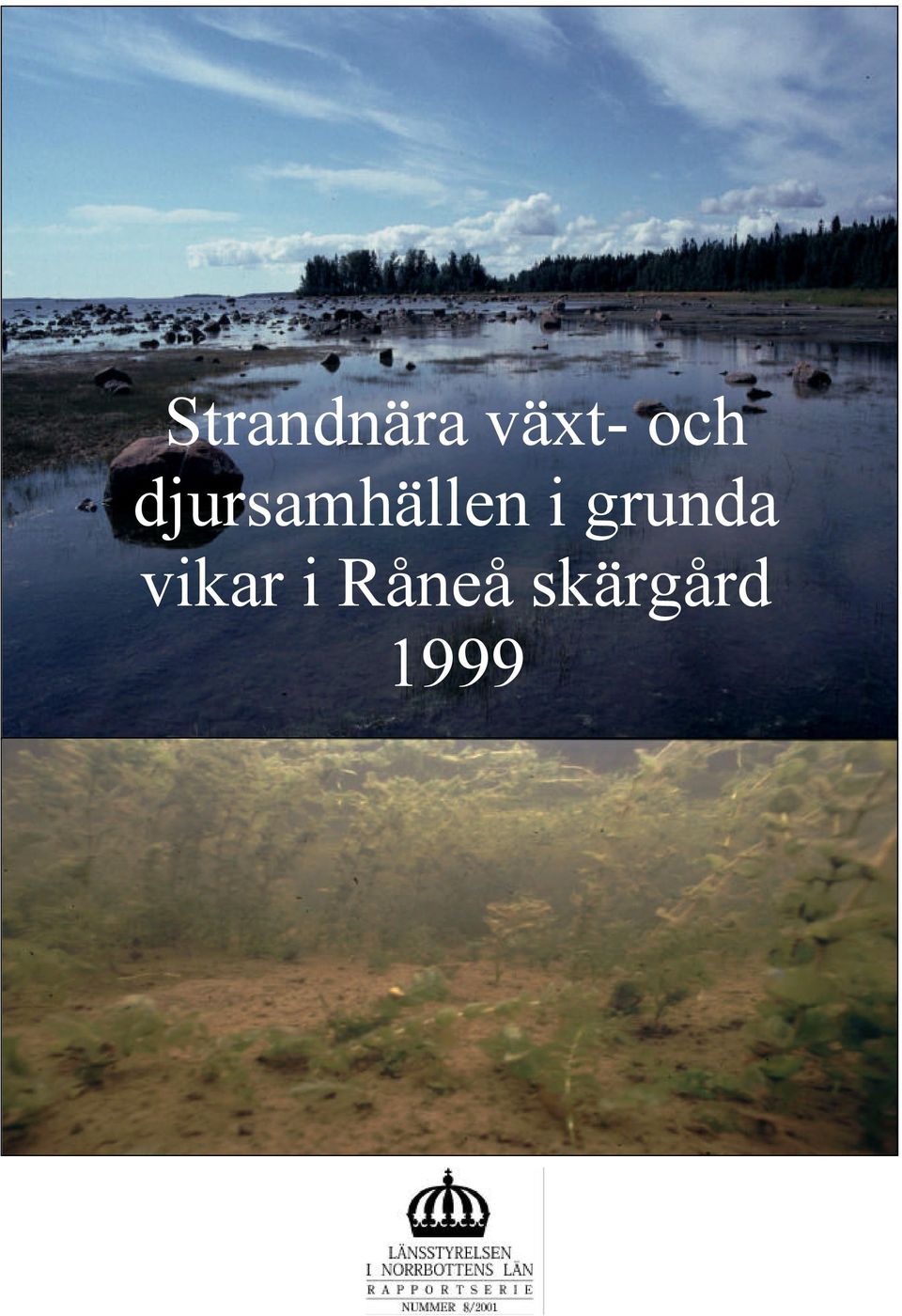 djursamhällen i