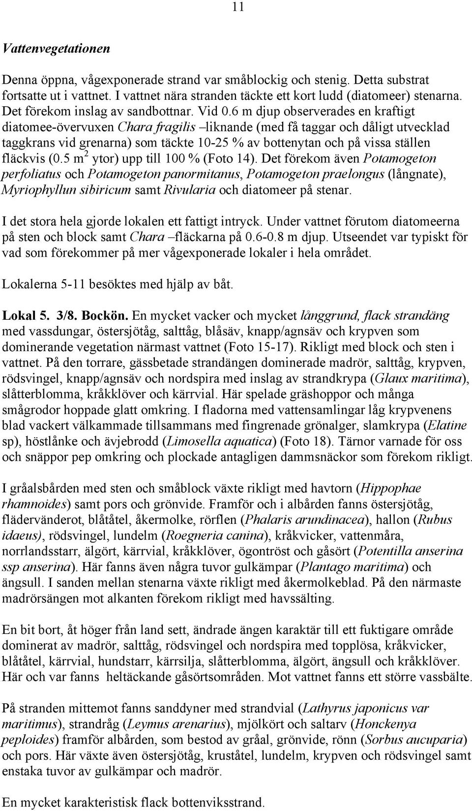 6 m djup observerades en kraftigt diatomee-övervuxen Chara fragilis liknande (med få taggar och dåligt utvecklad taggkrans vid grenarna) som täckte 10-25 % av bottenytan och på vissa ställen fläckvis
