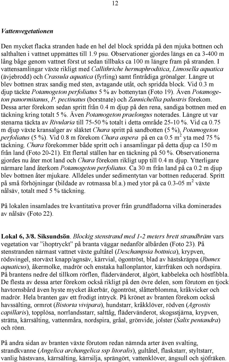 I vattensamlingar växte rikligt med Callithriche hermaphroditica, Limosella aquatica (ävjebrodd) och Crassula aquatica (fyrling) samt fintrådiga grönalger.