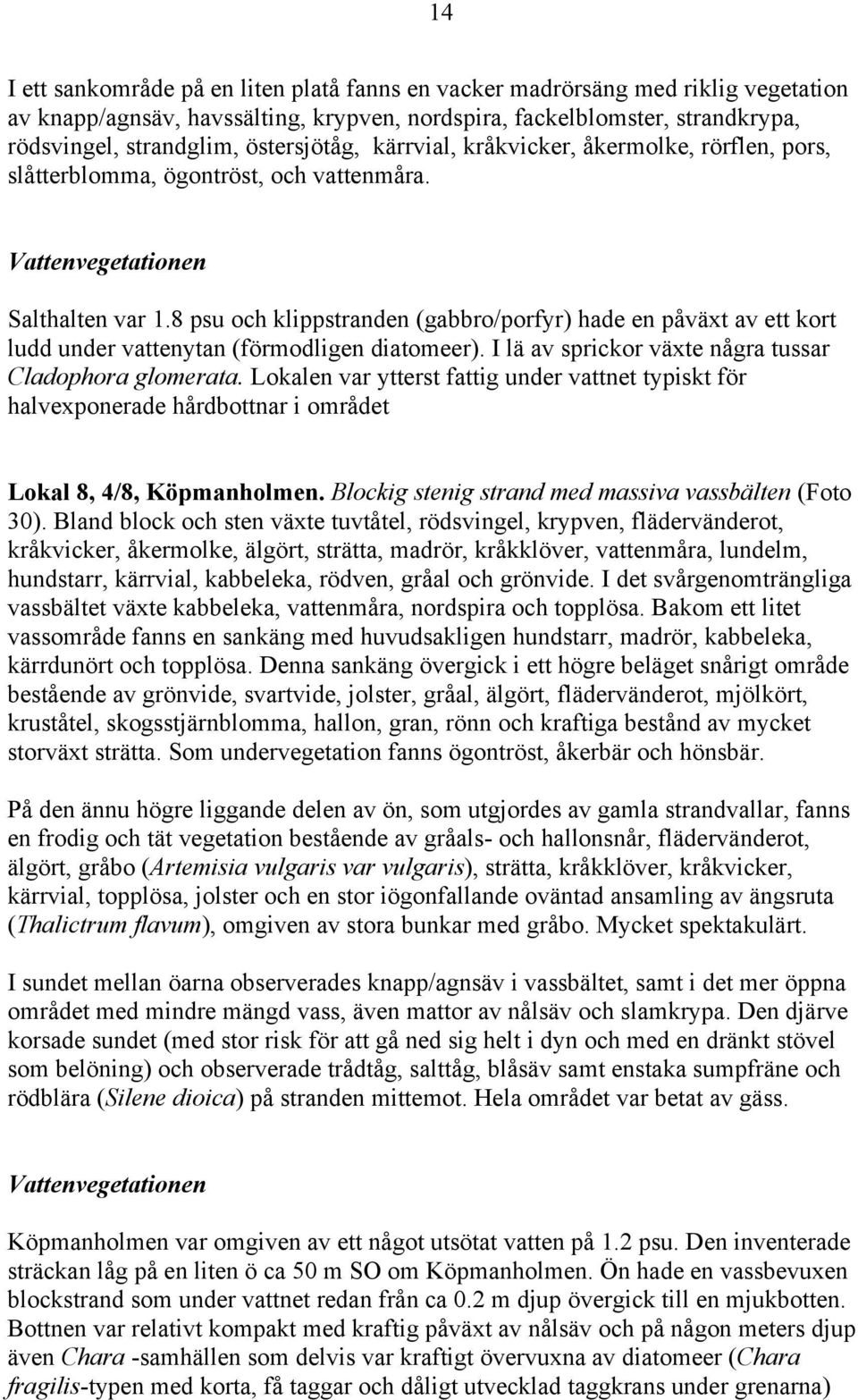 8 psu och klippstranden (gabbro/porfyr) hade en påväxt av ett kort ludd under vattenytan (förmodligen diatomeer). I lä av sprickor växte några tussar Cladophora glomerata.