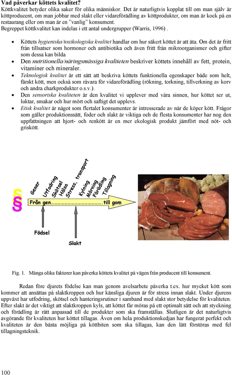 Begreppet köttkvalitet kan indelas i ett antal undergrupper (Warris, 1996). Köttets hygieniska/toxikologiska kvalitet handlar om hur säkert köttet år att åta.