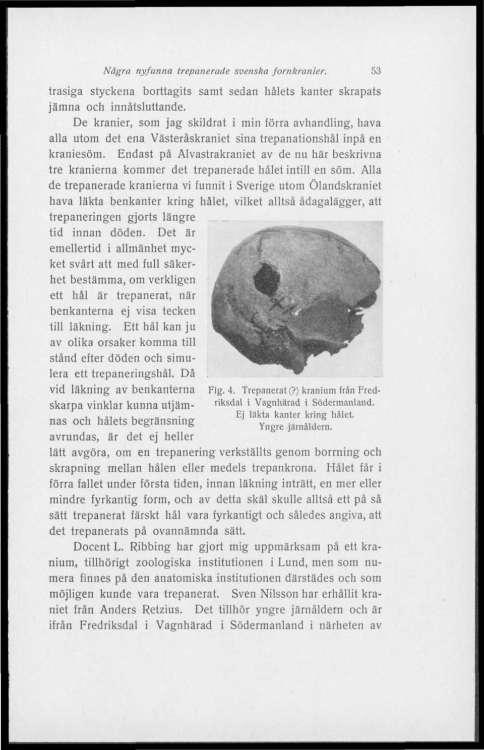 Endast på Alvastrakraniet av de nu här beskrivna tre kranierna kommer det trepanerade hålet intill en söm.