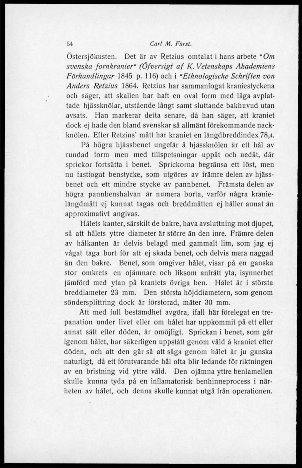 Retzius har sammanfogat kraniestyckena och säger, att skallen har haft en oval form med låga avplattade hjässknölar, utstående långt samt sluttande bakhuvud utan avsats.