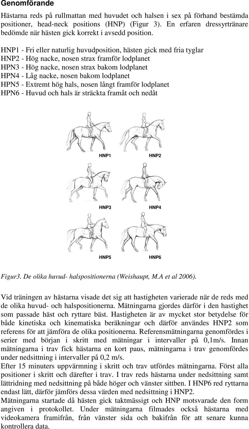 HNP1 - Fri eller naturlig huvudposition, hästen gick med fria tyglar HNP2 - Hög nacke, nosen strax framför lodplanet HPN3 - Hög nacke, nosen strax bakom lodplanet HPN4 - Låg nacke, nosen bakom