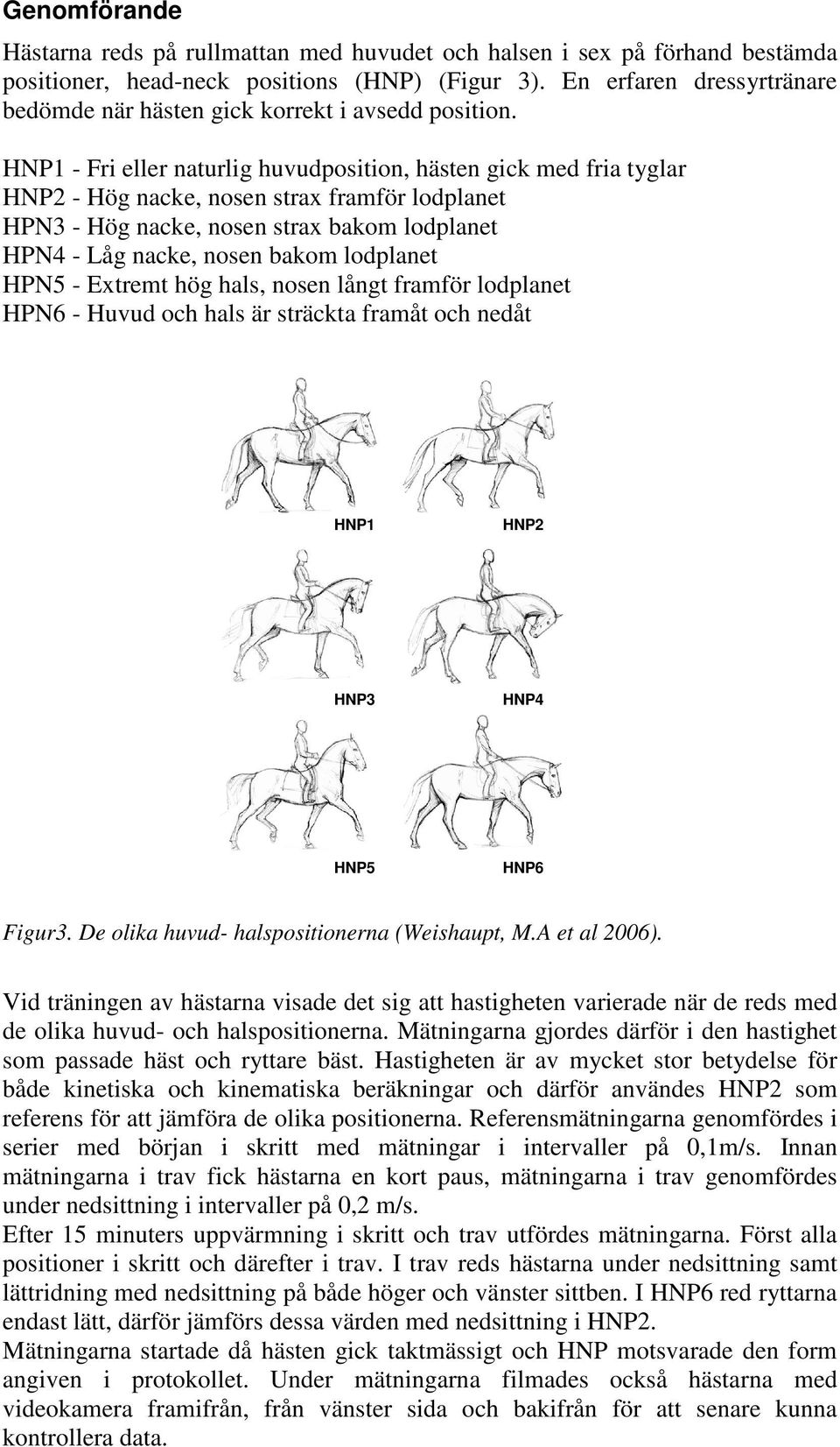 HNP1 - Fri eller naturlig huvudposition, hästen gick med fria tyglar HNP2 - Hög nacke, nosen strax framför lodplanet HPN3 - Hög nacke, nosen strax bakom lodplanet HPN4 - Låg nacke, nosen bakom