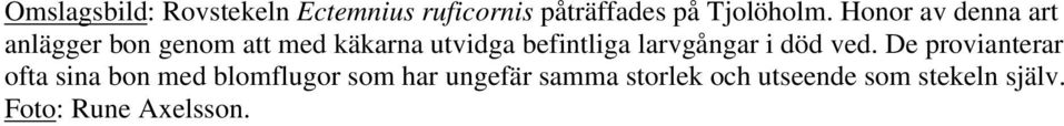 larvgångar i död ved.