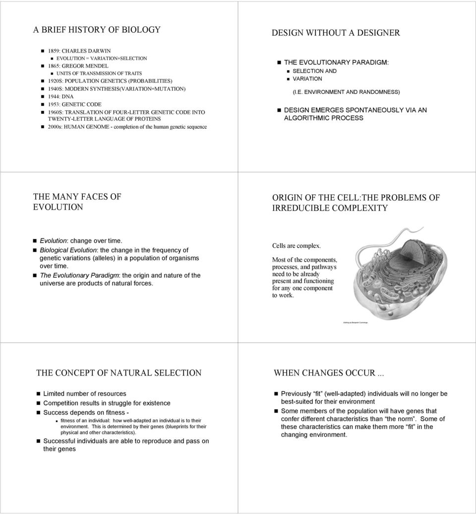 completion of the human genetic sequence THE 