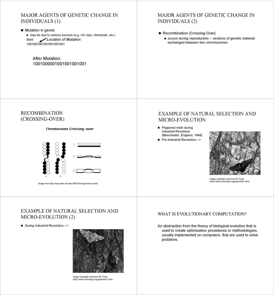 exchanged between two chromosomes After Mutation: 1001000001001001001001 RECOMBINATION (CROSSING-OVER) EXAMPLE OF NATURAL SELECTION AND MICRO-EVOLUTION Peppered moth during Industrial Revolution