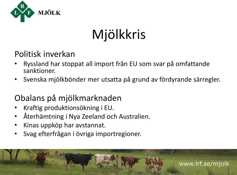 Svenska mjölkbönder mer utsatta på grund av fördyrande särregler.
