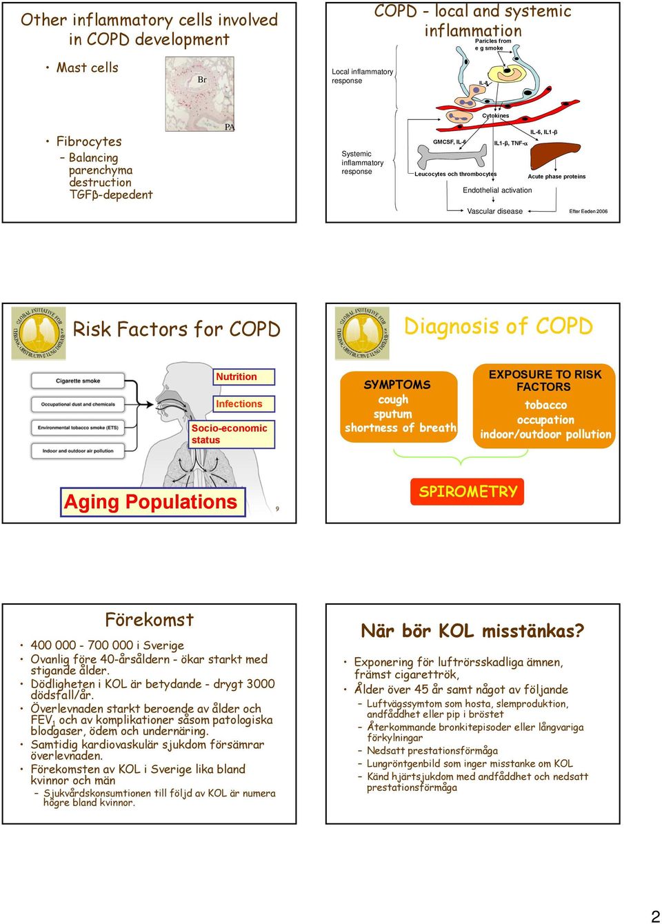 Efter Eeden 2006 Risk Factors for COPD Diagnosis of COPD Nutrition Infections Socio-economic status SYMPTOMS cough sputum shortness of breath EXPOSURE TO RISK FACTORS tobacco occupation