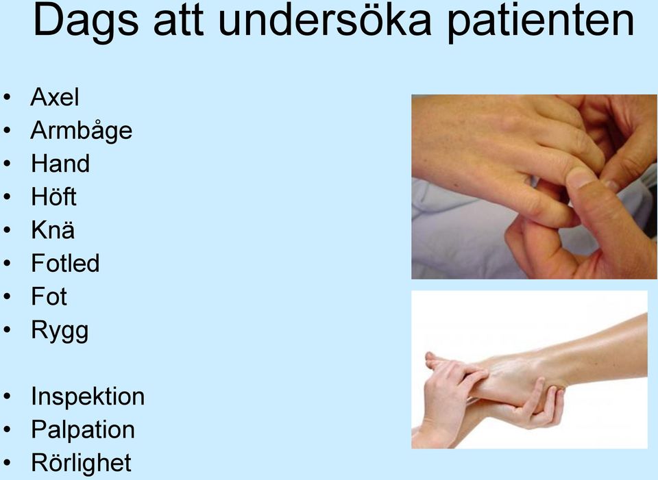 Hand Höft Knä Fotled Fot