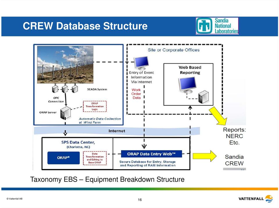 Taxonomy EBS