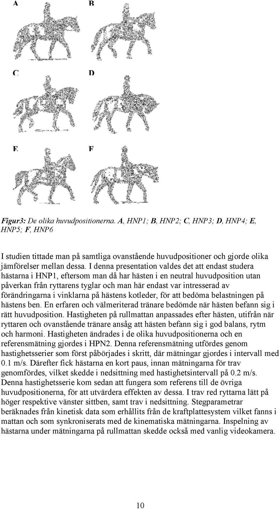 I denna presentation valdes det att endast studera hästarna i HNP1, eftersom man då har hästen i en neutral huvudposition utan påverkan från ryttarens tyglar och man här endast var intresserad av