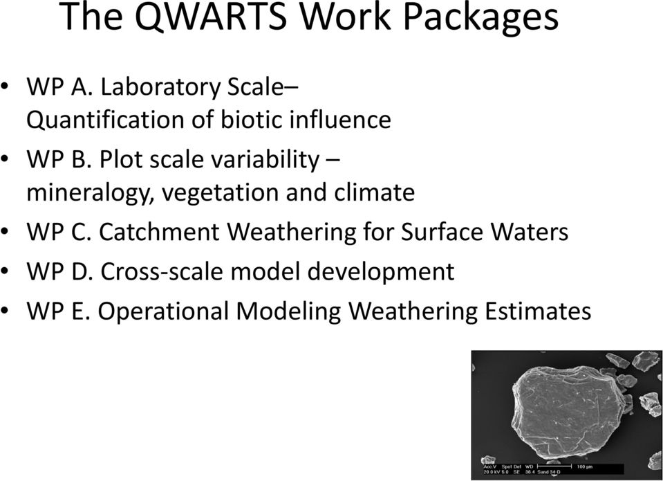 Plot scale variability mineralogy, vegetation and climate WP C.