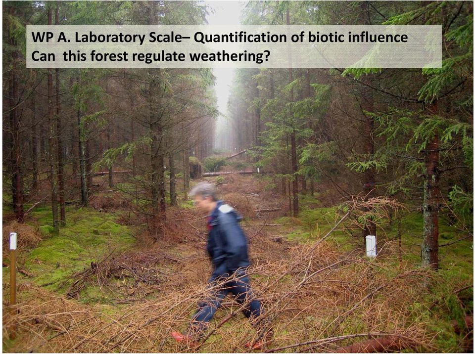 biotic influence y Can