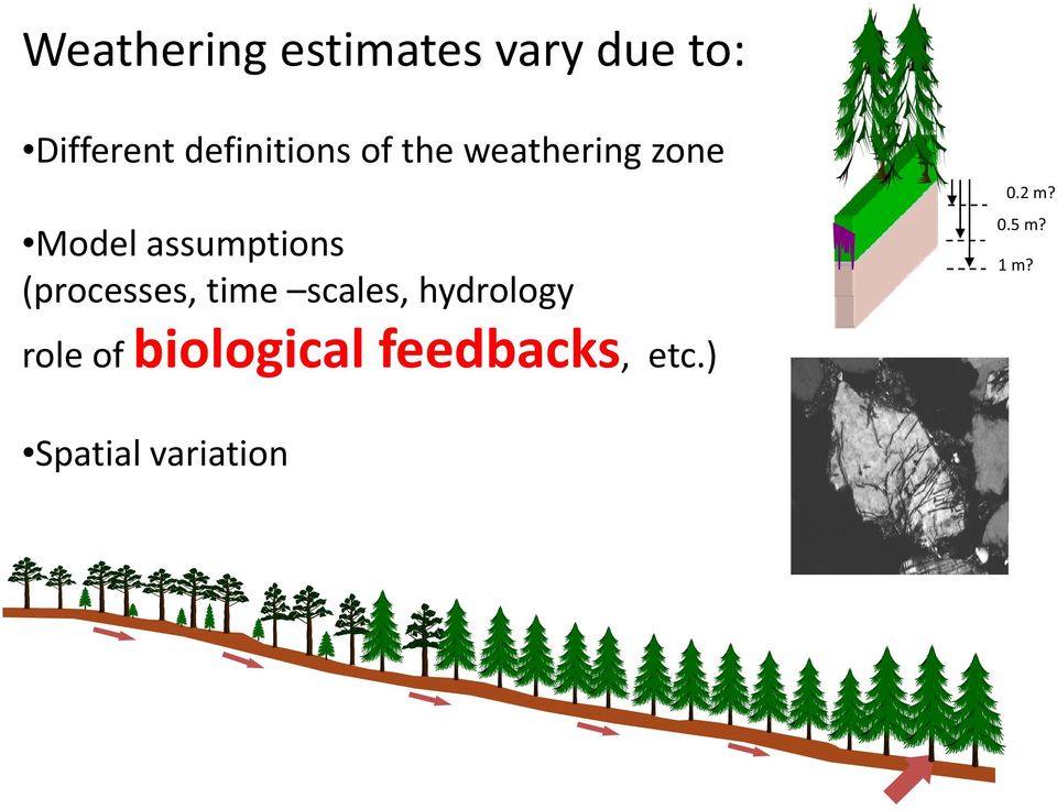assumptions (processes, time scales, hydrology role