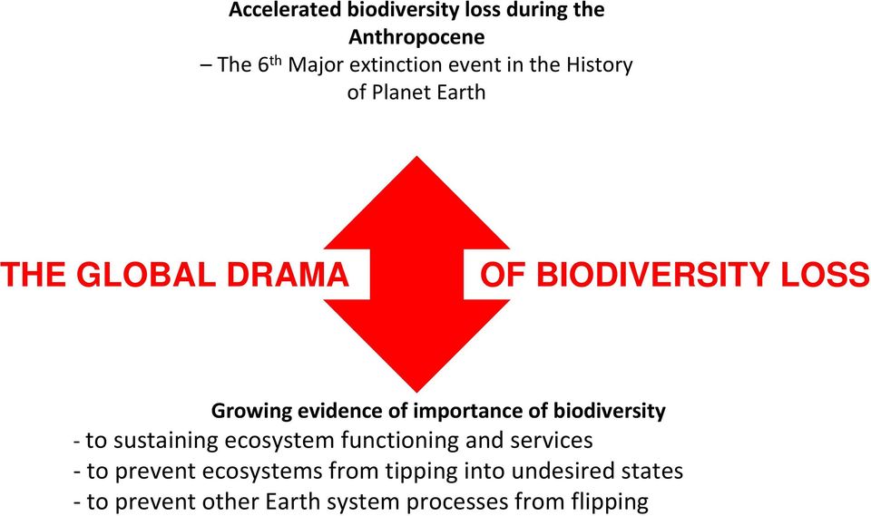 importance of biodiversity to sustaining ecosystem functioning and services to prevent