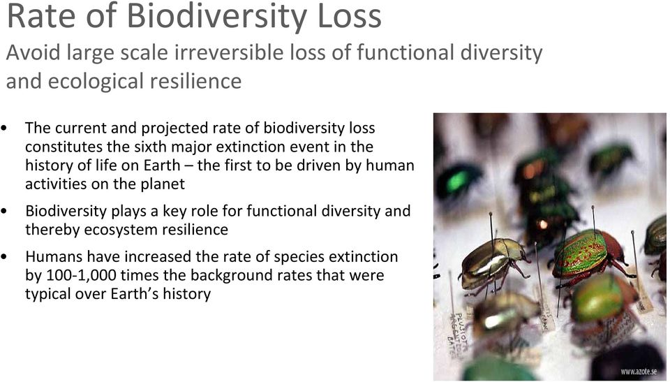 driven by human activities on the planet Biodiversity plays a key role for functional diversity and thereby ecosystem resilience
