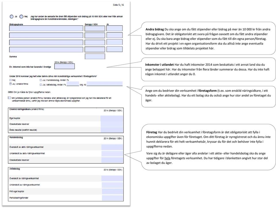 Har du drivit ett projekt i en egen organisationsform ska du alltså inte ange eventuella stipendier eller bidrag som tilldelats projektet här.