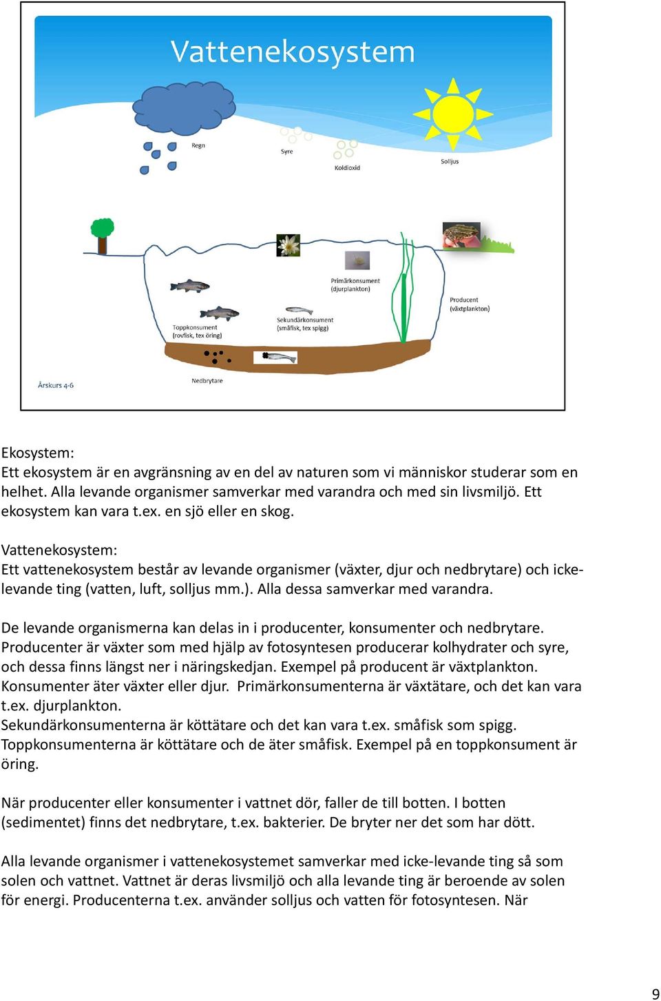 De levande organismerna kan delas in i producenter, konsumenter och nedbrytare.