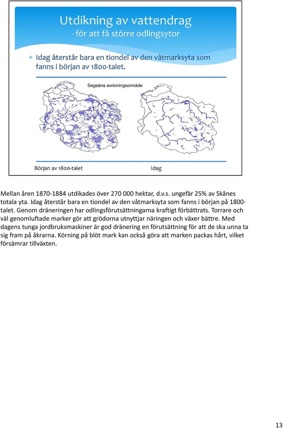 Genom dräneringen har odlingsförutsättningarna kraftigt förbättrats.