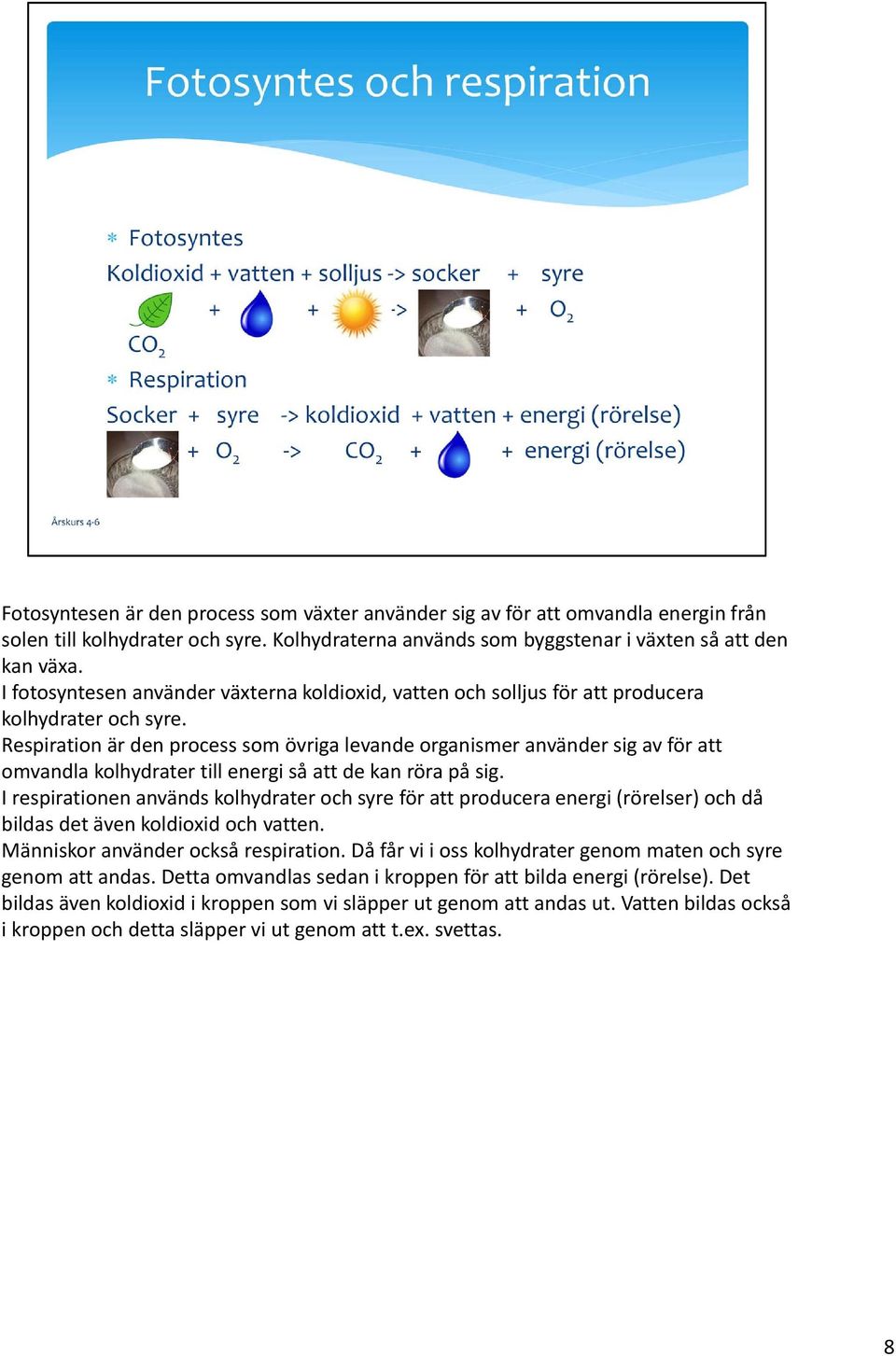 Respiration är den process som övriga levande organismer använder sig av för att omvandla kolhydrater till energi så att de kan röra på sig.