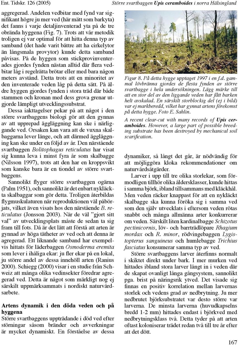 På de hyggen som stickprovinventerades gjordes fynden nästan alltid där flera vedbitar låg i regelrätta brötar eller med bara någon meters avstånd.
