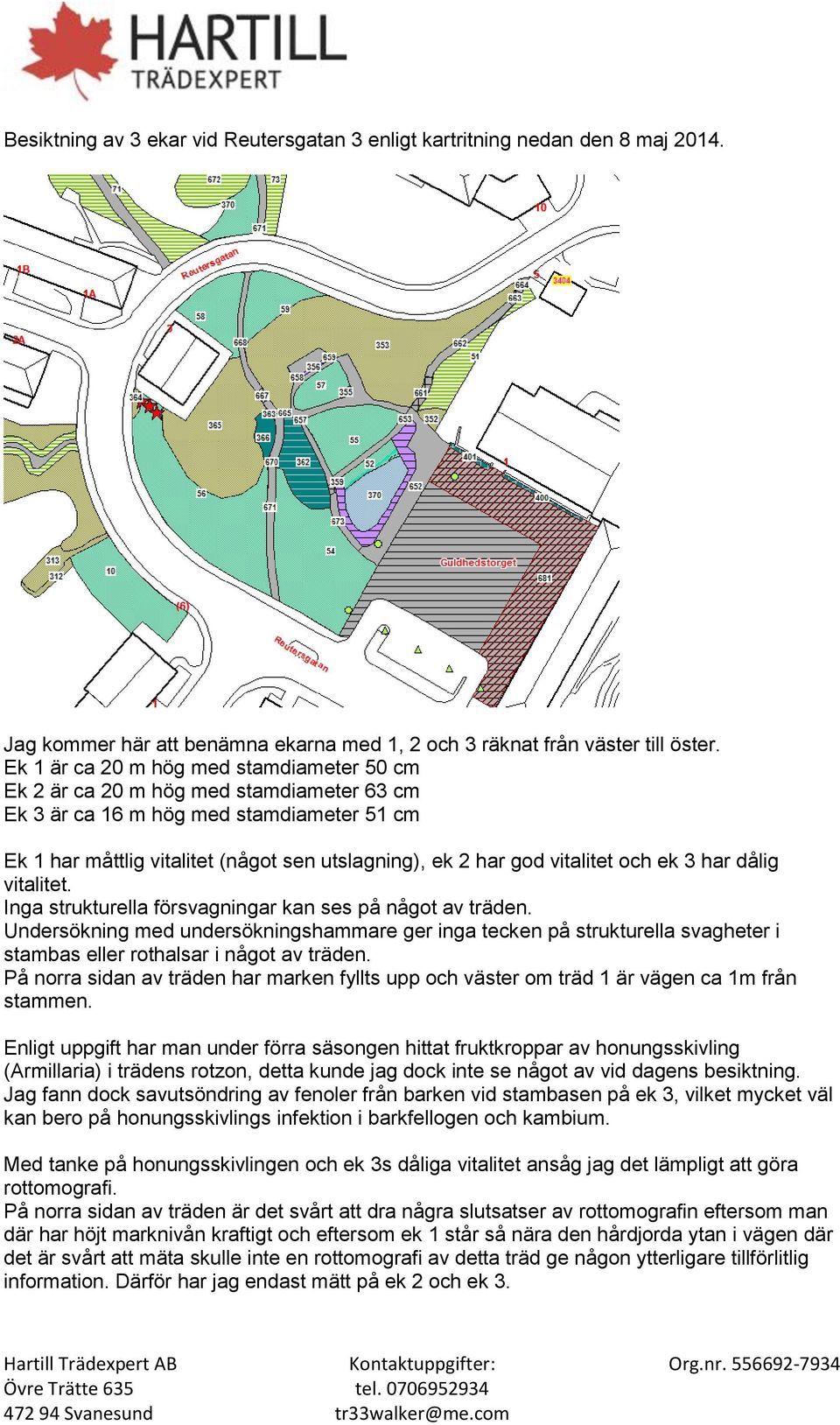 vitalitet och ek 3 har dålig vitalitet. Inga strukturella försvagningar kan ses på något av träden.