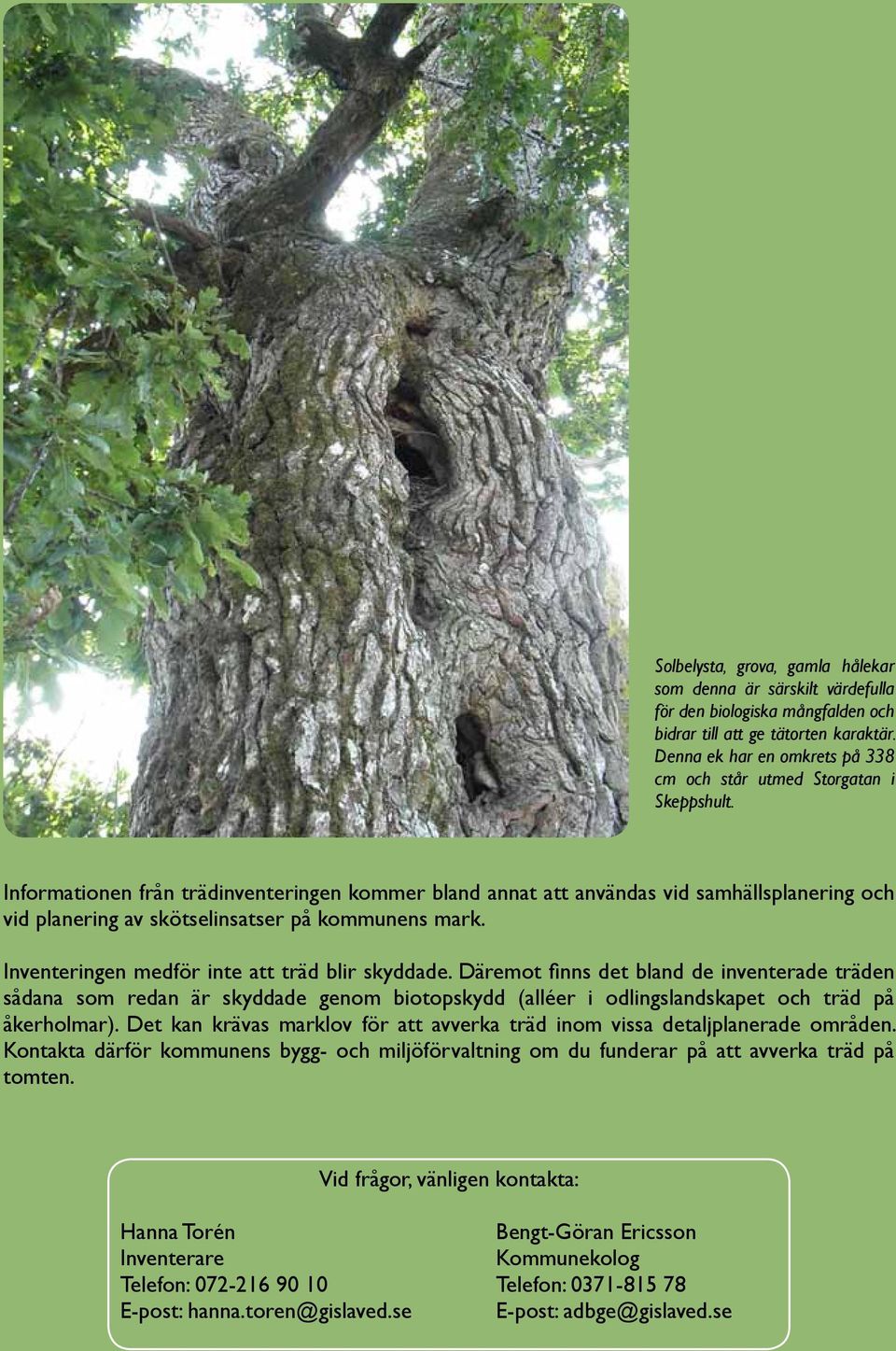 Informationen från trädinventeringen kommer bland annat att användas vid samhällsplanering och vid planering av skötselinsatser på kommunens mark. Inventeringen medför inte att träd blir skyddade.