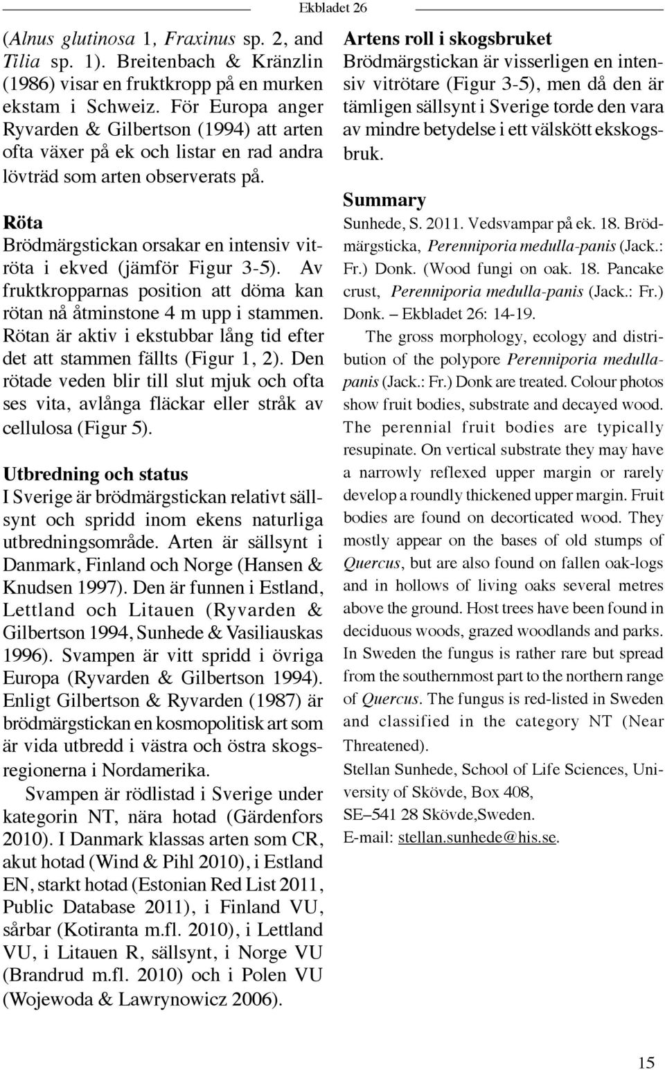 Röta Brödmärgstickan orsakar en intensiv vitröta i ekved (jämför Figur 3-5). Av fruktkropparnas position att döma kan rötan nå åtminstone 4 m upp i stammen.