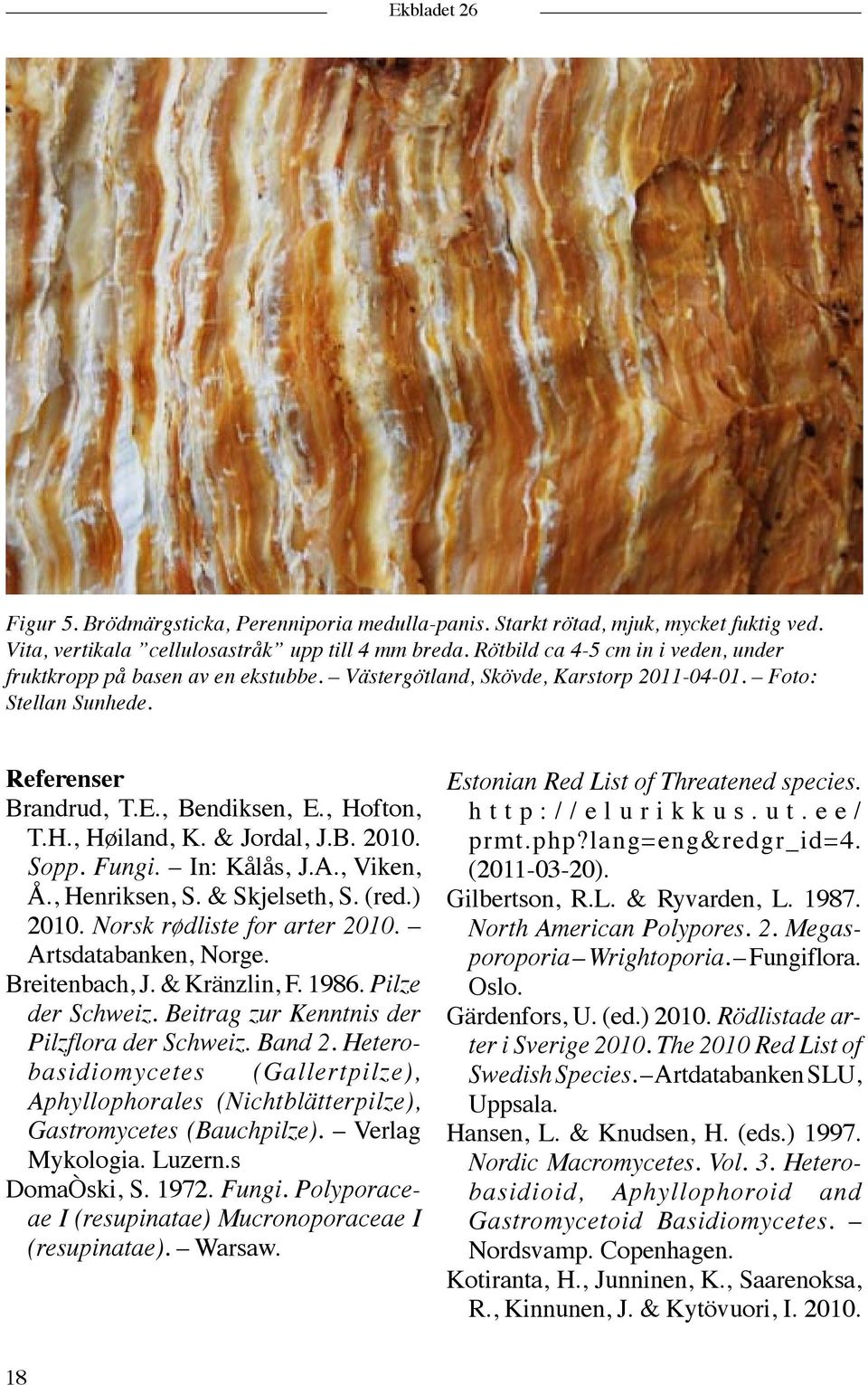 & Jordal, J.B. 2010. Sopp. Fungi. In: Kålås, J.A., Viken, Å., Henriksen, S. & Skjelseth, S. (red.) 2010. Norsk rødliste for arter 2010. Artsdatabanken, Norge. Breitenbach, J. & Kränzlin, F. 1986.