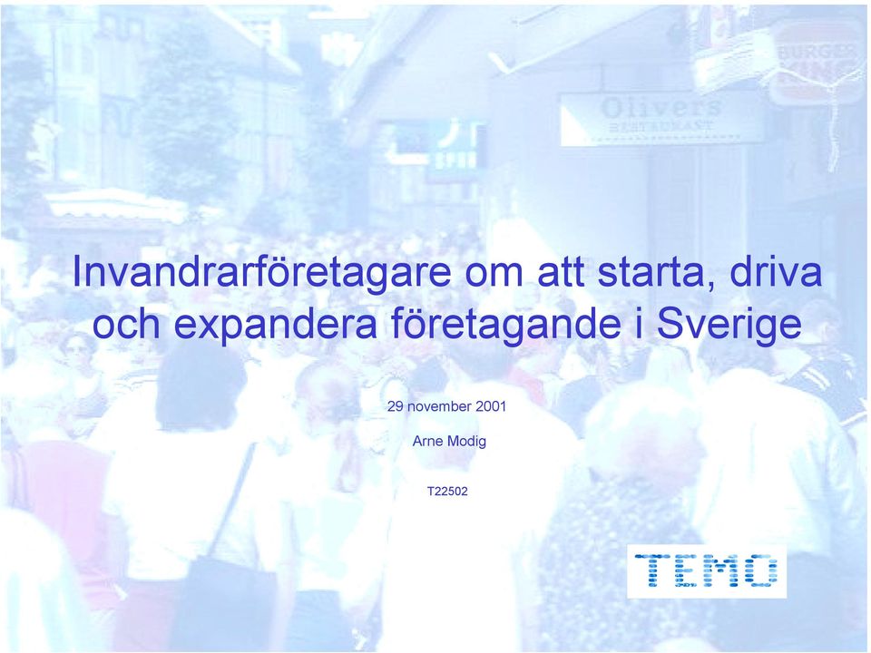 företagande i Sverige 29