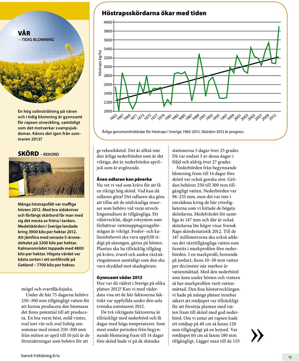 Medelskörden i Sverige landade kring 3900 kilo per hektar 2012. Att jämföra med senaste 5-årsmedeltalet på 3200 kilo per hektar. Kalmarområdet toppade med 4800 kilo per hektar.