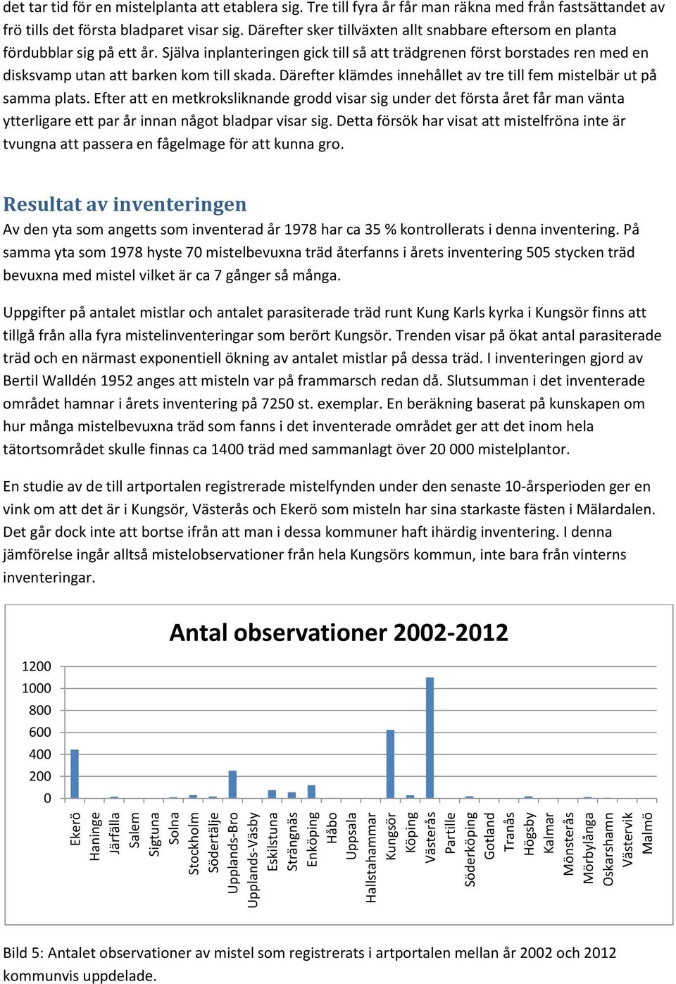 Tre till fyra år får man räkna med från fastsättandet av frö tills det första bladparet visar sig. Därefter sker tillväxten allt snabbare eftersom en planta fördubblar sig på ett år.