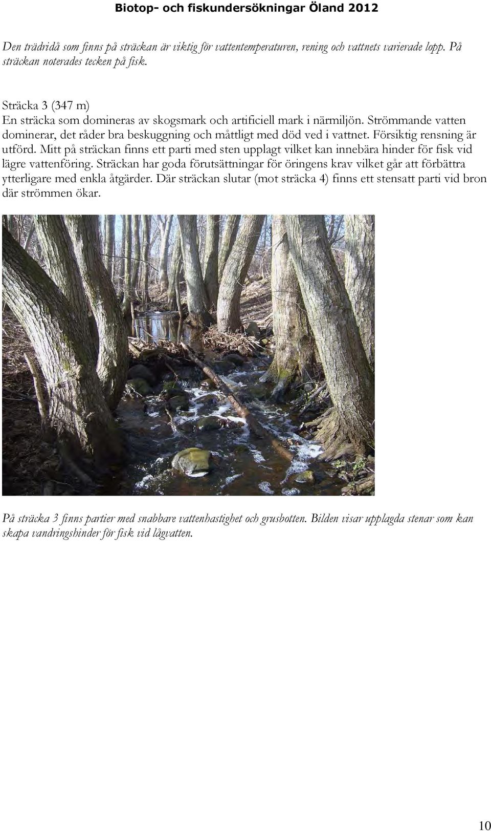 Försiktig rensning är utförd. Mitt på sträckan finns ett parti med sten upplagt vilket kan innebära hinder för fisk vid lägre vattenföring.