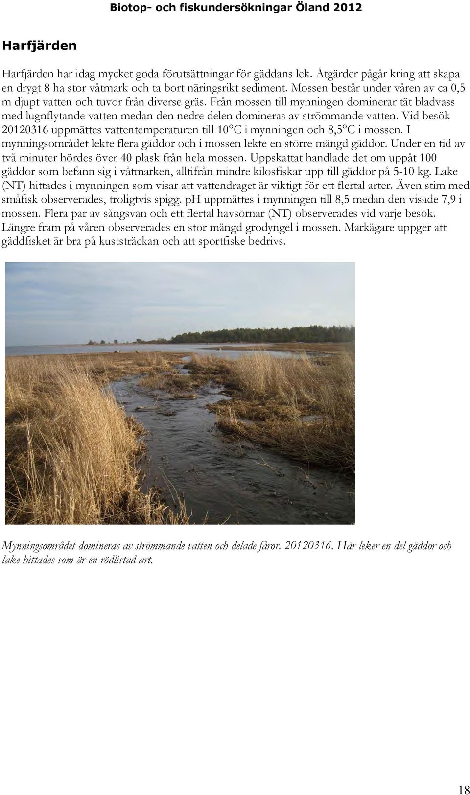 Från mossen till mynningen dominerar tät bladvass med lugnflytande vatten medan den nedre delen domineras av strömmande vatten.