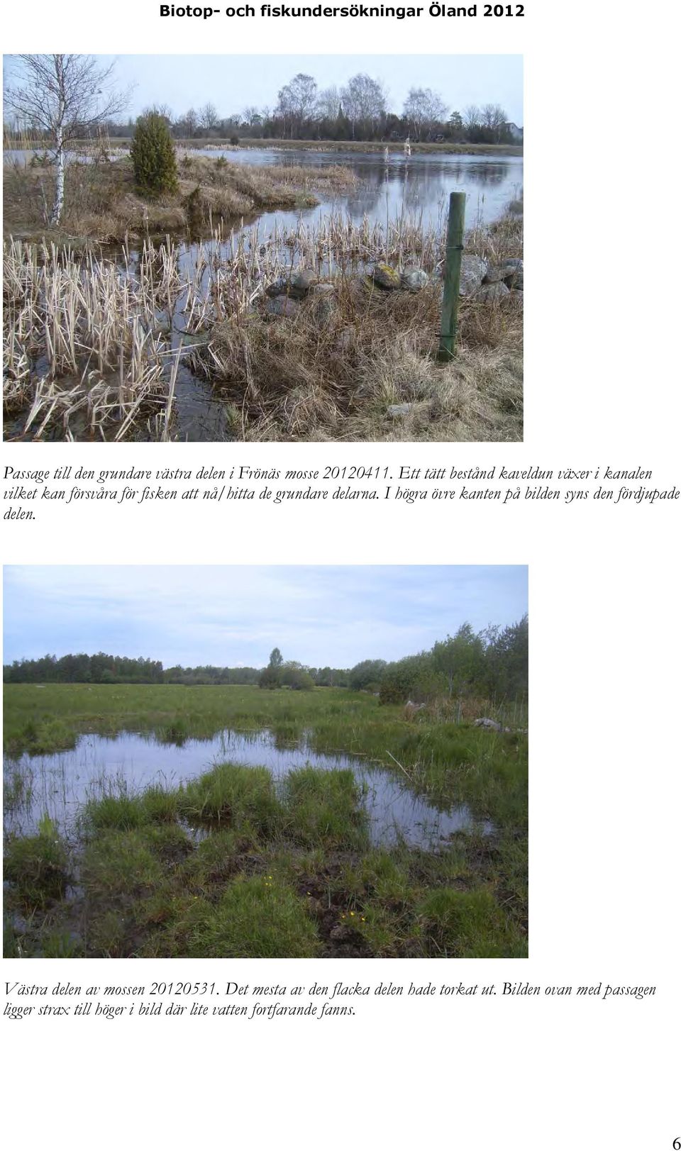 delarna. I högra övre kanten på bilden syns den fördjupade delen. Västra delen av mossen 20120531.